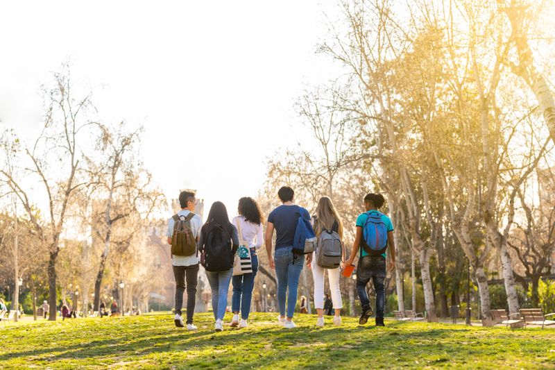 Students walking away in the sunshine