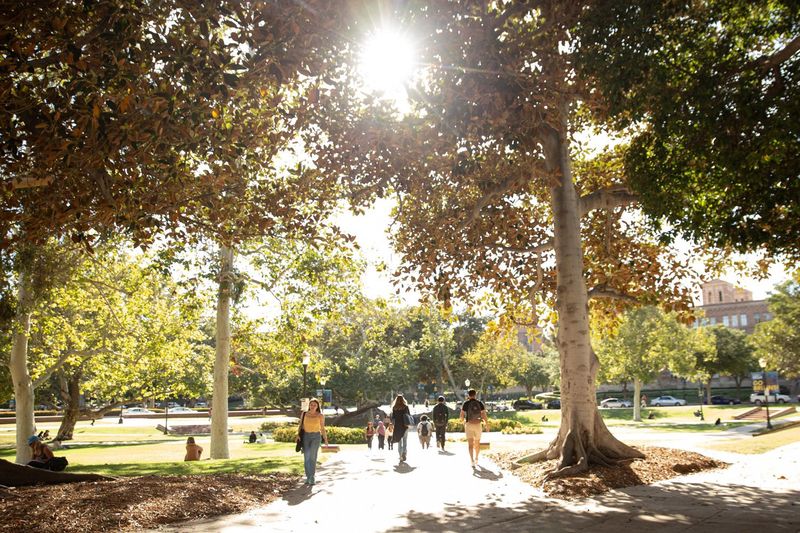 Students walk along a sunlit pathway beneath large trees on the UCLA campus, with others relaxing on the surrounding lawn