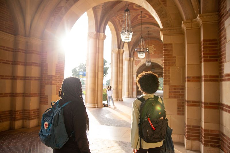 Students walking towards the sparkling sunlight